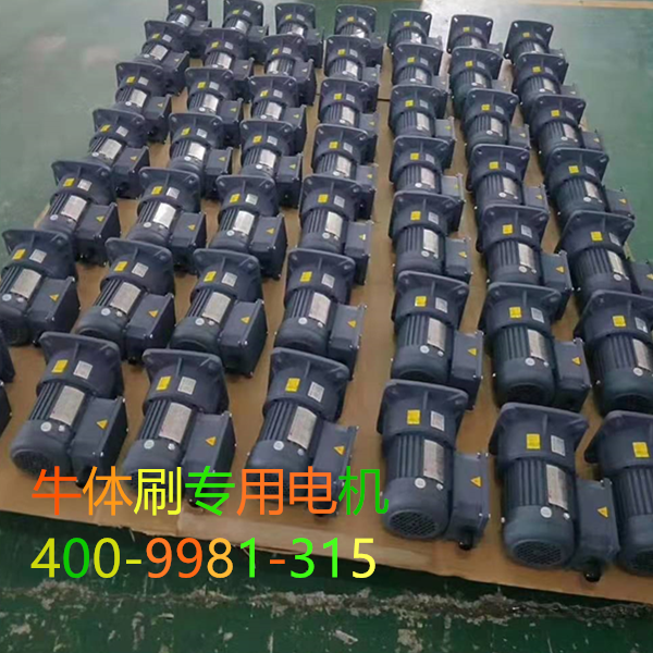 牛體刷專用電機(jī)