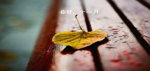邁傳減速機(jī)