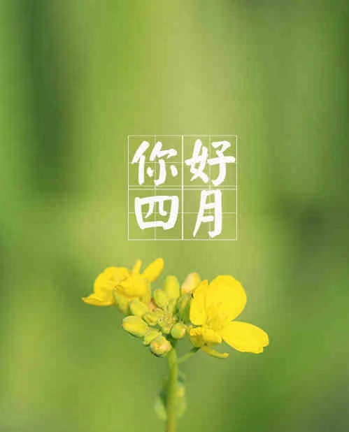 四月，你好！.jpg