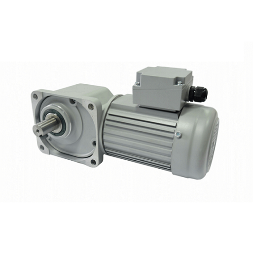 士元實(shí)心軸船用減速機(jī)電機(jī).png