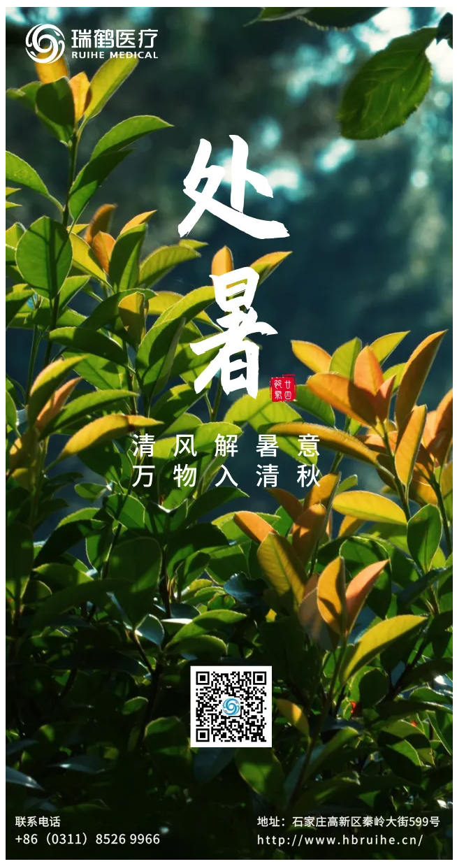 download-3.png